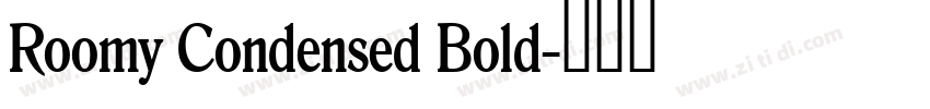 Roomy Condensed Bold字体转换 Roomy Condensed Bold字体转换